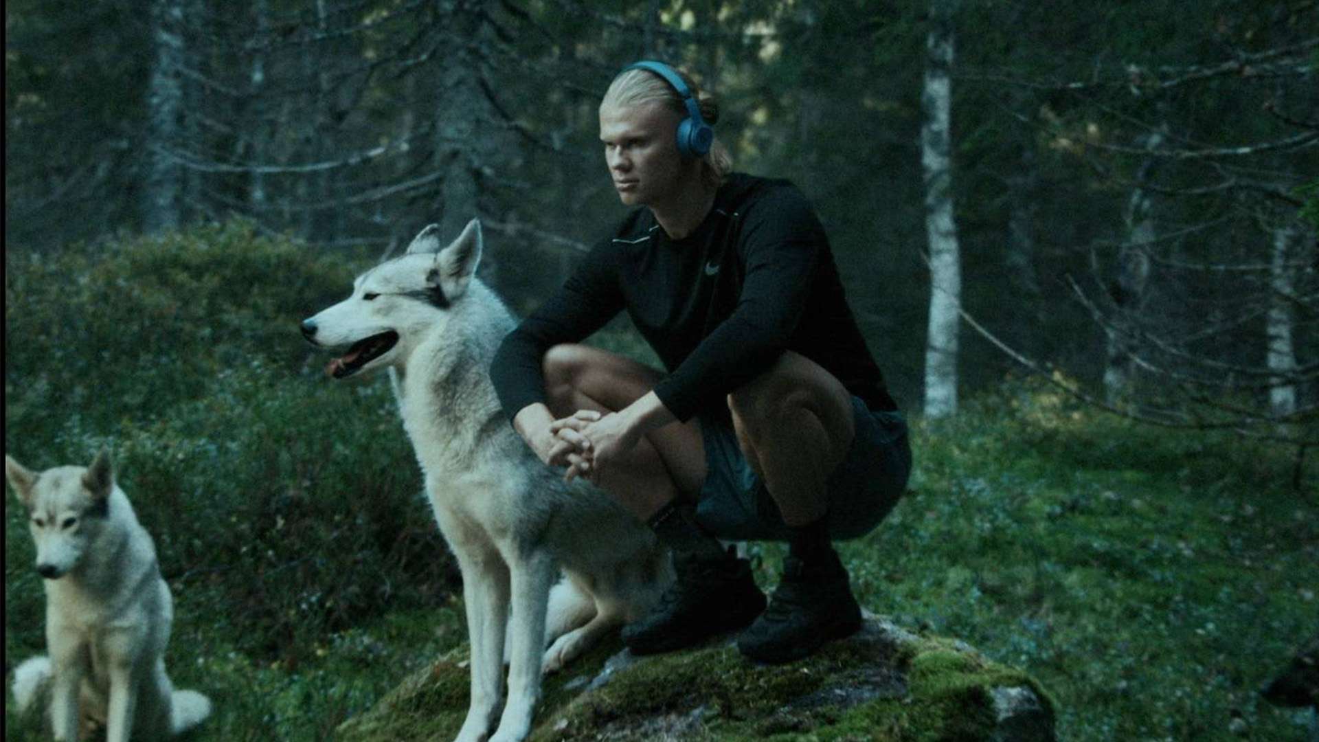 勇士队都打 勇士队都打